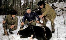 Росприроднадзор выступил за запрет зимней охоты на медведей в берлогах. Фото: РИА Новости