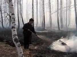 Тушение лесного пожара. Кадр &quot;Первого канала&quot;