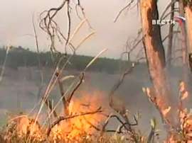 В российских регионах число природных пожаров уменьшилось в два раза. Фото: Вести.Ru