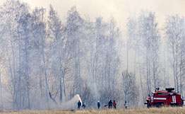Под Великим Новгородом горят торфяники. Фото: РИА Новости