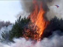 В Туве бушуют лесные пожары. Фото: Вести.Ru