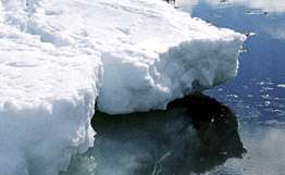 Глобальное потепление может высвободить изо льдов Антарктиды яд. Фото: РИА Новости