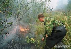 ушение лесного пожара наиболее эффективно на ранней стадии, но сейчас почти нет структур, способных оперативно реагировать на возгорание. Фото: Greenpeace
