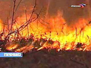 В Республике Алтай бушуют 15 лесных пожаров. Фото: Вести.Ru