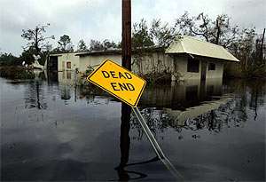 Ураганы станут реже. Фото: Gazeta.ru