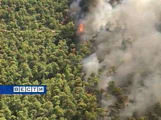 Лесной пожар в Хабаровском крае угрожает воинской части. Фото: Вести.RU
