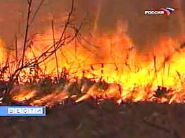 На севере Сахалина бушуют лесные пожары. Фото: Вести.Ru