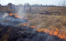В Хабаровском крае возможен рост числа лесных пожаров. Фото: РИА Новости