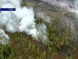 В Туве вновь горят леса. Фото: Вести.Ru