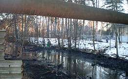 Дулев ручей в Подмосковье спустя полгода все еще загрязнен мазутом. Фото: РИА Новости