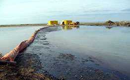 Экологи против создания стоянки танкеров в Керченском проливе. Фото: РИА Новости