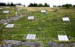 Поросший травой холм на территории города Бакстона (Buxton) в Великобритании был покрыт ирригационной системой и специальными подогревающимися кабинками, которые также защищали исследуемые участки от дождя. Вся эта гигантская установка с 1993 года имитировала глобальное потепление на данном конкретном участке земли (фото Jason Fridley).  