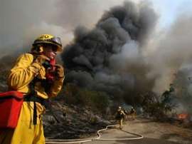 Лесные пожары помогают бороться с глобальным потеплением. Фото AFP