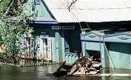 Вода ушла из подтопленных паводком домов в Якутии. Фото: РИА Новости
