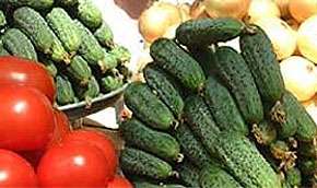 Бельгийские фрукты-овощи отравили радиацией. Фото: MIGnews.com