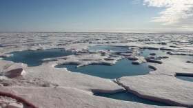 Площадь арктических льдов в этом году достигла своего минимума. Фото: РИА Новости