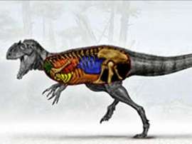  	  Предполагаемый внешний вид динозавра Aerosteon riocoloradensis. Изображение авторов исследования