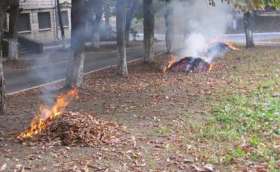 Москвичам запретили сжигать опасную листву. Фото: news2000.org.ua