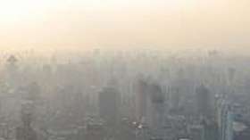 Крупнейшие города поделятся опытом борьбы с глобальным потеплением. Фото: РИА Новости