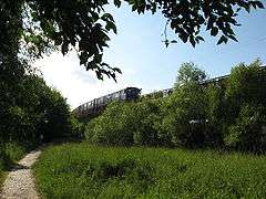 Измайловский лесопарк. Фото: ВикипедиА
