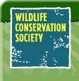 Общество сохранения диких животных США (WCS)