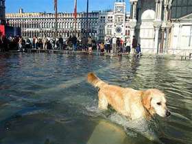 Наводнение в Венеции. Фото ©AFP, архив