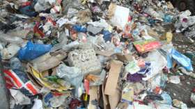 Экологи и петербургские депутаты провели заседание на мусорной свалке. Фото: РИА Новости