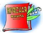 До конца года Красная книга Пермского края появится в интернете. Фото: РИА &quot;Новый Регион&quot;