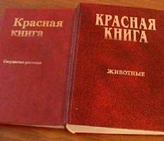 Красная книга. Фото: http://www.annews.ru/