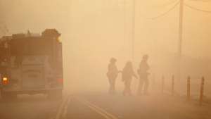Огонь поглотил уже 220 гектаров. С пожаром борются 4 тысячи пожарных штата Виктория, к ним присоединились волонтеры из других австралийских штатов. Фото: РИА Новости