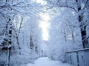 Зима в городе. Фото: http://img-fotki.yandex.ru