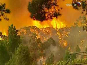 Власти охваченного огнем штата в Австралии просят о помощи. Фото: Вести.Ru
