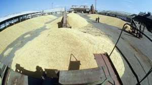 Урожай зерна на элеваторе. Фото: РИА Новости
