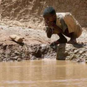 Нехватка воды в Восточной Африке. Фото из Интернета