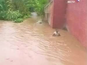 Наводнение в Намибии унесло жизни более 100 человек. Фото: Вести.Ru