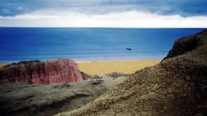 Берег Аральского моря. Фото: РИА Новости