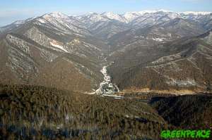 Грушевой хребет, Кавказский заповедник. Фото: http://www.greenpeace.org