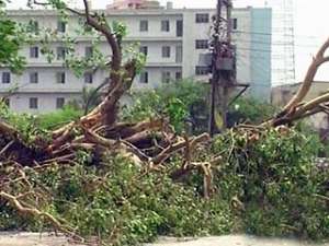 На север Индии обрушился сильный ураган: 27 погибших. Кадр Первого Канала