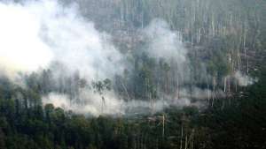Вертолет доставил две группы пожарных для тушения огня в горах Алтая. Фото: РИА Новости