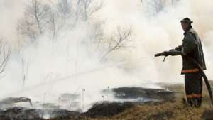 Площадь лесных пожаров на Дальнем Востоке сократилась на треть. Фото: РИА Новости