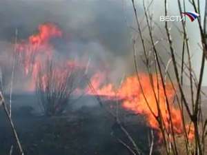 В лесах Забайкалья за прошедшие сутки зафиксировано 24 пожара на площади свыше пяти тысяч гектаров. Фото: Вести.Ru