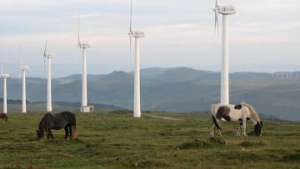 Эксперементальный парк ветряной энергии. Фото: РИА Новости