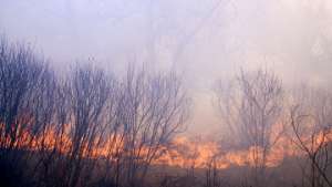 Три лесных пожара бушуют в труднодоступных районах Сахалинской области. Фото: РИА Новости