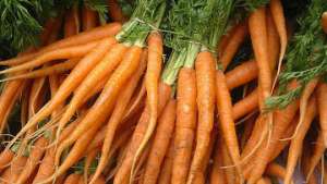 Британец потратит часть лотерейного выигрыша на выращивание моркови. Фото: РИА Новости