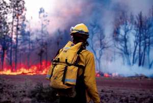 Тушение лесного пожара. Фото arhivgazet.ru.