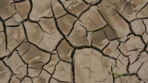 Засуха. Фото: РИА Новости