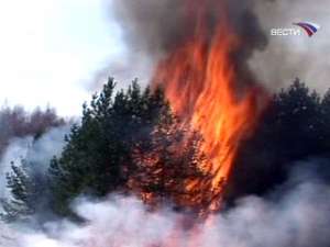 Магаданская область и Якутия охвачены лесными пожарами. Фото: Вести.Ru