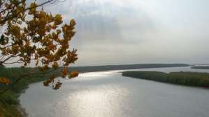 Река Амур у Хабаровска войдет в привычное русло к середине августа. Фото: РИА Новости
