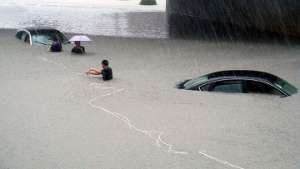 Тайфун &quot;Моракот&quot; уничтожает прибрежные экосистемы восточного Китая. Фото: РИА Новости