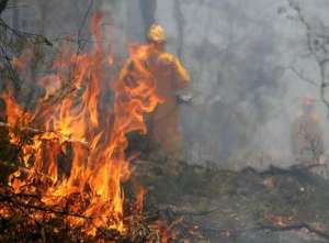 Лесной пожар. Фото: http://novosti.err.ee/